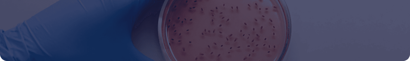 Pathogen Threat Contest