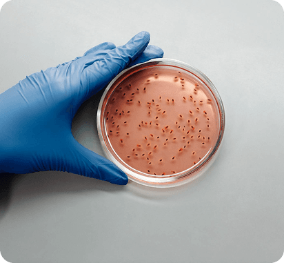 Pathogen Threat Contest